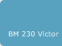 BM 230 Victor